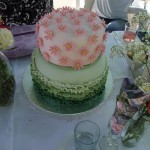 Pink and green frill cake